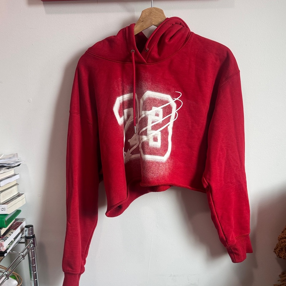 Jordan Red Cropped Hoodie Sweater